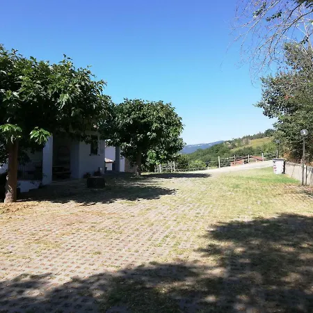 アパート In Campagna Con Piscina A トーディ